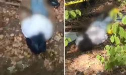 Ormanlık alanda cansız erkek bedeni bulundu