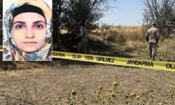 Tarlada başlayan yasak aşk, tarlada bitti