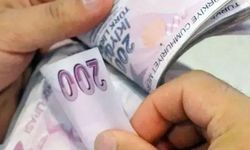 Yangınlardan etkilenen hanelere 10 milyon lira kaynak aktarıldı