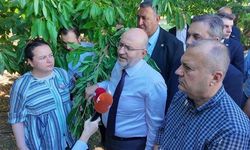 'TARSİM kapsamında ödenecek primler 22 milyar lira'