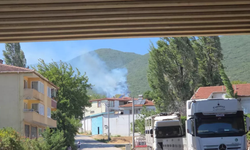 Bursa Orhangazi’de makilik alanda yangın