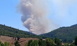 Bursa’da orman yangını: Ekipler müdahale ediyor