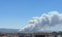 Çanakkale-İzmir kara yolu yakınlarında yangın