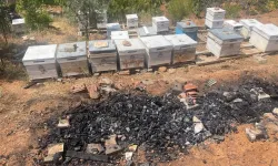 Milyonlarcası ateşe uçtu bir daha geri dönmedi