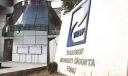 Papara ortağı Ekotürk, TMSF yönetimine geçti