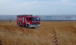 Silivri’de otluk alanda çıkan yangın kısa sürede kontrol altına alındı