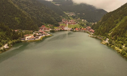 TÜİK verilerine göre Türkiye’nin en mutsuz ili Trabzon