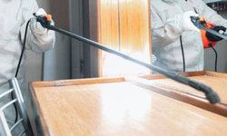 Alüminyum fosfit tehlikesi: “Halk sağlığı açısından çok tehlikeli”