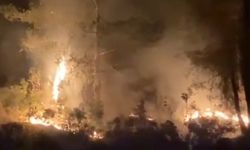 Muğla'daki orman yangını büyümeden kontrol altına alındı