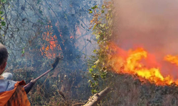Artvin'de bahçe yangını ormana sıçradı