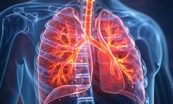 Dr. Gökrem: Basit bir öksürük birkaç gün içinde akciğer enfeksiyonuna dönüşebilir