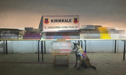 Kaçak tütün operasyonu: 1,5 milyon liralık ürün ele geçirildi