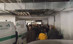 Mardin’de anne, baba ve 5 yaşındaki kızları evlerinde ölü bulundu