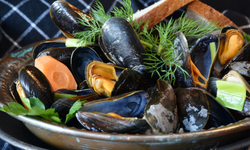 İstanbul’da midyeden zehirlenen anne yoğun bakımda hayatını kaybetti