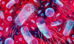 ABD’de listeria alarmı: Hazır makarnadan bulaşan bakteriden 6 kişi öldü