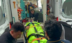 Mantar toplayan imama ayı saldırdı: Yaralı olarak kurtuldu