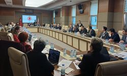 TBMM’de otizm gerçeği: 33 çocuktan 1'i otizmli