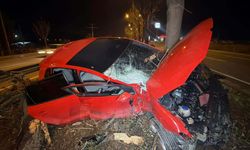 Eskişehir’de ağaca çarpan otomobilin sürücüsü ağır yaralandı