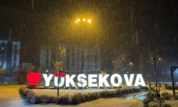 Hakkari ve ilçelerinde kar alarmı: Araçlar kar altında kaldı