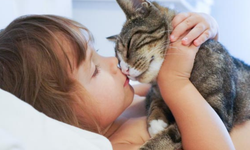 Hayvanların en çok sevdiği 4 burç açıklandı