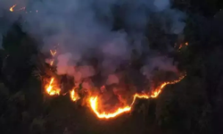 Bahçe çıkan örtü yangını ormana sıçradı yangın büyüdü