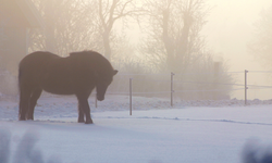 3 Aralık Meteoroloji uyardı: Sis ve pus için dikkatli olun!