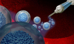 Bilim dünyasında dev adım: Yaşlanan hücrelere enerji transferi