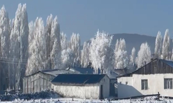 Ardahan Göle’de termometre eksi 20’yi gördü: Esnaf halayla ısındı