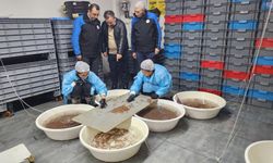 Çanakkale’de deniz solucanı üretiminde Türkiye’ye örnek tesis