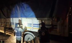 Bitlis’te tırın gizli bölmesinde 31 düzensiz göçmen yakalandı