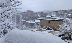 Hakkari'de kar 13 köy ve 30 mezra yolunu kapattı