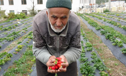 Türkiye’nin ‘Hayır Bahçesi’ ile tanıdığı hayırsever hayatını kaybetti
