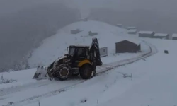 Kastamonu'nun yüksek kesimleri beyaza büründü