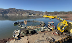 Almus Barajı’ndan Avrupa’ya Türk Somonu ihracatı