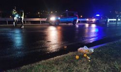 Tokat’ta yaya otomobil çarpması sonucu öldü