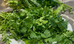 Kış hastalıklarına karşı doğal kalkan: C vitamini