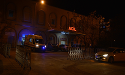 Oyuncak parçası soluk borusuna kaçan 4 yaşındaki çocuk hayatını kaybetti