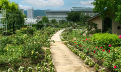 Hobi bahçelerine sınırlama getiren teklif Meclis’e sunuldu