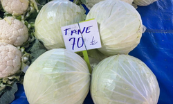 Beyaz lahana krizinde çifte kayıp: Ne çiftçi kazandı ne de tüketici ucuza yedi