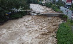 Rize’de selin ardından çamurlu arazide çay mesaisi