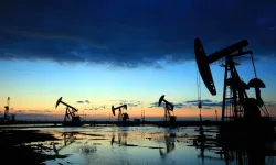 TPAO'dan Karadeniz'deki petrol sahası için ruhsat başvurusu