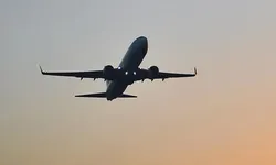 Kuş çarpan Pegasus uçağı acil iniş yaptı