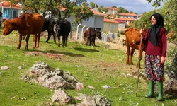 Fabrikadan köye uzanan başarı hikayesi: İki inekle kendi işletmesini kurdu
