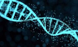 Genetik tedavide yeni adım: İnsan DNA’sı vücudun içinde değiştirildi