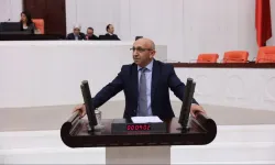 Eski HDP Milletvekili Alican Önlü Ovacık'ta gözaltına alındı