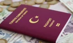 AYM'den pasaport iptali kararı: İki hakkın ihlal edildiğine hükmedildi
