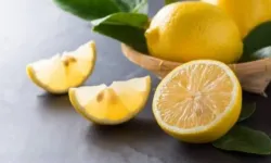 Limonlarda pestisit alarmı: 20 örneğin tamamında kalıntı çıktı
