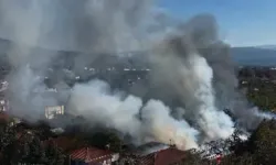 Düzce’de ahşap fabrikasında korkutan yangın! Ekipler seferber oldu