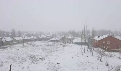 Yaz gelmeden kış döndü: Başkale beyaza büründü