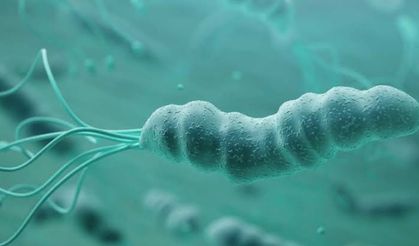 Helikobakter pilori, mide sağlığını tehdit ediyor